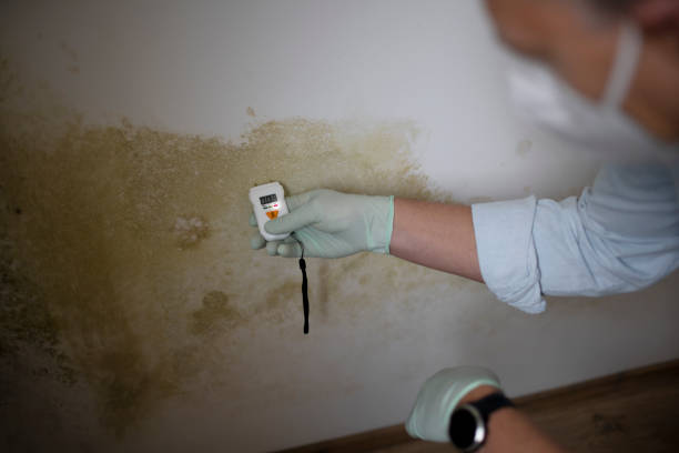 Best Forensic Mold Investigation  in Renova, MS